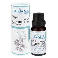 3 Beech, 20ml Essenz (Ohne Alkohol), MirianaNature 3 Beech, 20ml Essenz (Ohne Alkohol), MirianaNature