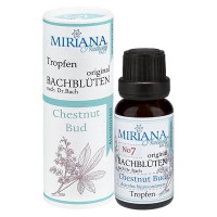 7 Chestnut Bud, 20ml Essenz (Ohne Alkohol), MirianaNature 7 Chestnut Bud, 20ml Essenz (Ohne Alkohol), MirianaNature
