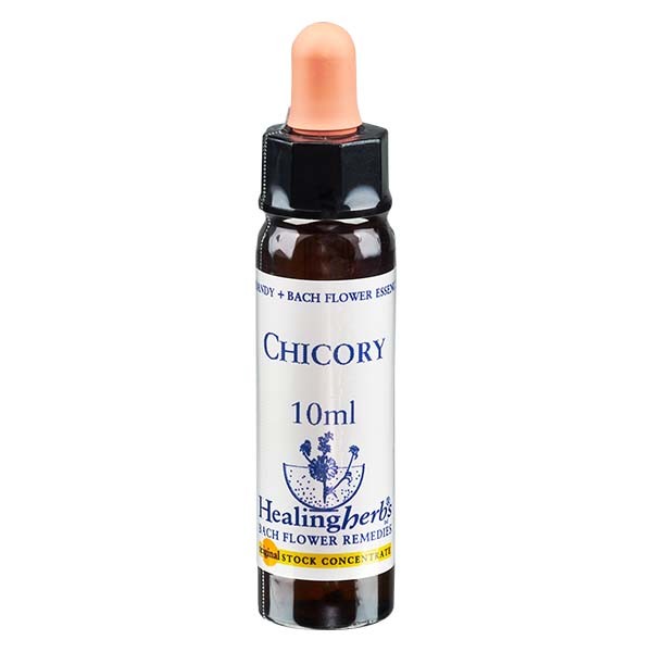 8 Chicory, 10ml Essenz, Healing Herbs