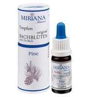 24 Pine, 10ml Essenz, MirianaFlowers 24 Pine, 10ml Essenz, MirianaFlowers
