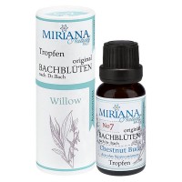 38 Willow, 20ml Essenz (Ohne Alkohol), MirianaNature 38 Willow, 20ml Essenz (Ohne Alkohol), MirianaNature