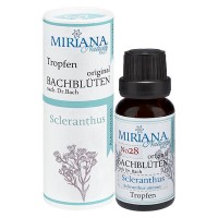 28 Scleranthus, 20ml Essenz (Ohne Alkohol), MirianaNature 28 Scleranthus, 20ml Essenz (Ohne Alkohol), MirianaNature
