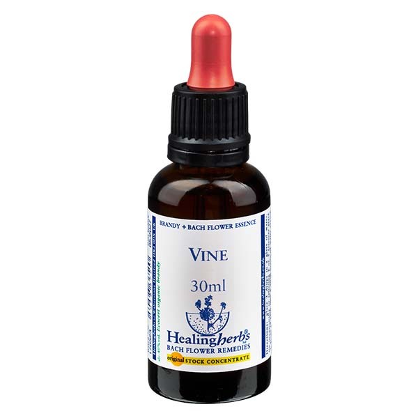 32 Vine, 30ml Essenz, Healing Herbs