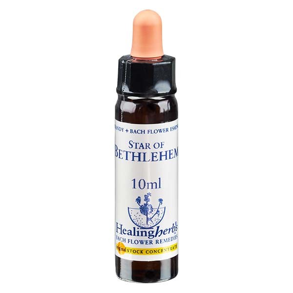 29 Star of Bethlehem, 10ml Essenz, Healing Herbs