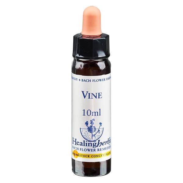 32 Vine, 10ml Essenz, Healing Herbs