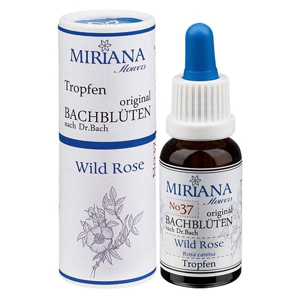 37 Wild Rose, 20ml Essenz, MirianaFlowers