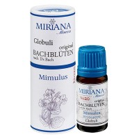 20 Mimulus, 10g "Kügelchen", MirianaFlowers 20 Mimulus, 10g "Kügelchen", MirianaFlowers
