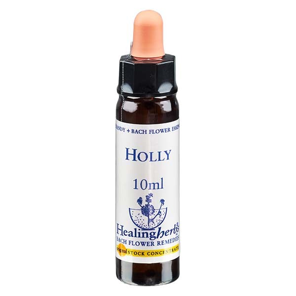 15 Holly, 10ml Essenz, Healing Herbs