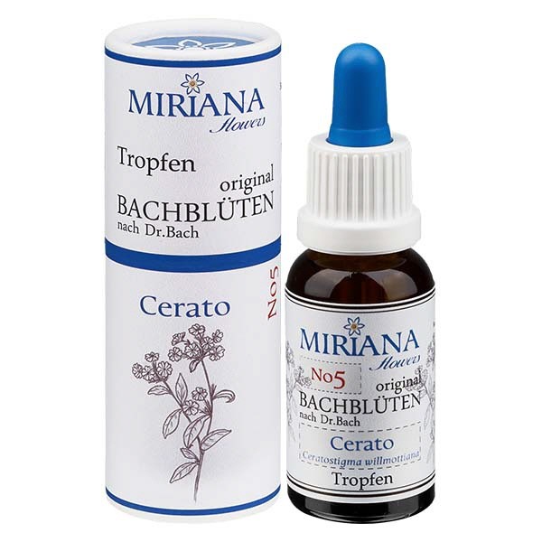 5 Cerato, 20ml Essenz, MirianaFlowers