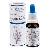 8 Chicory, 20ml Essenz, MirianaFlowers 8 Chicory, 20ml Essenz, MirianaFlowers