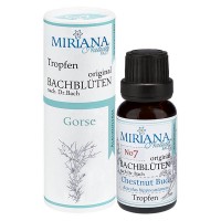 13 Gorse, 20ml Essenz (Ohne Alkohol), MirianaNature 13 Gorse, 20ml Essenz (Ohne Alkohol), MirianaNature
