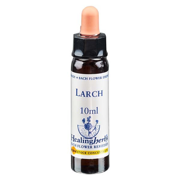19 Larch, 10ml Essenz, Healing Herbs