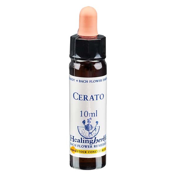 5 Cerato, 10ml Essenz, Healing Herbs